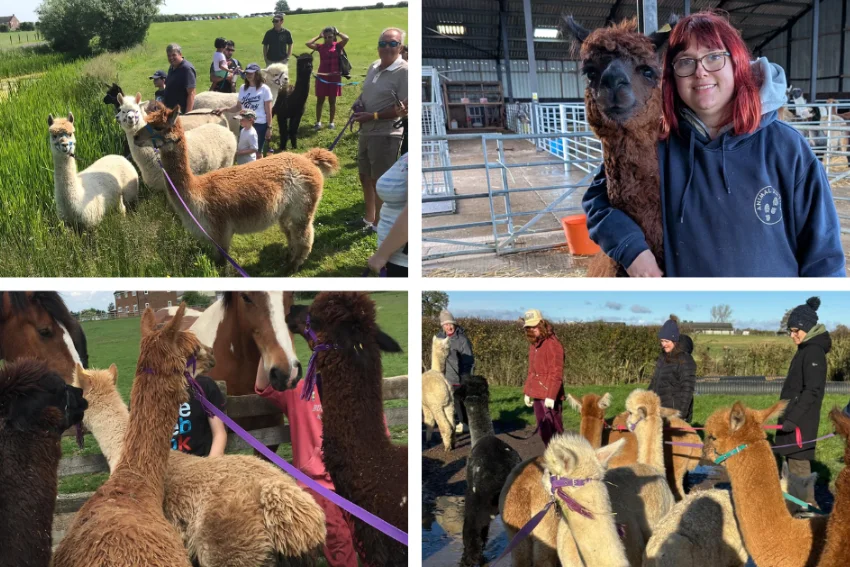 The Matchroom Sport Charitable Foundation donates £5,000 to support Animal Antiks’ young carers project